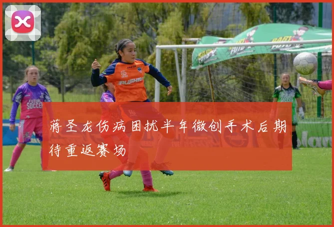 蒋圣龙伤病困扰半年微创手术后期待重返赛场