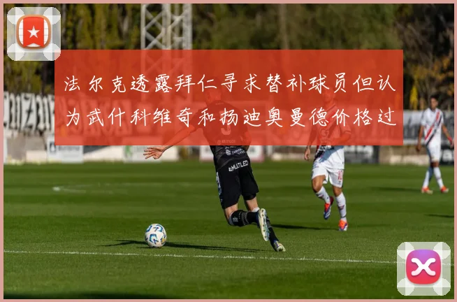 法尔克透露拜仁寻求替补球员但认为武什科维奇和扬迪奥曼德价格过高