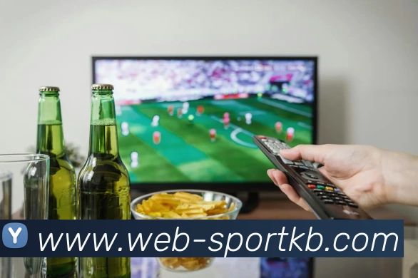 KB体育APP 高清赛事图